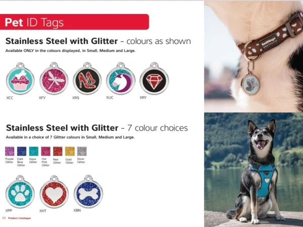 Une médaille pour chien en acier inoxydable