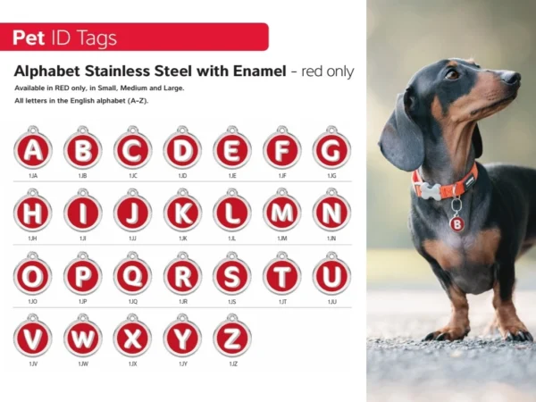 Un médaillon pour chien gravé avec la lettre de son prénom