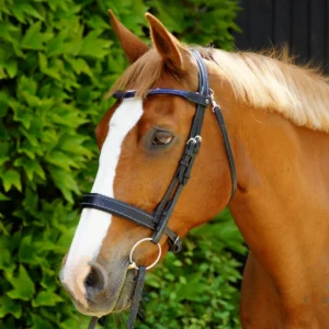 Un cheval avec un bridon sur mesure haut de gamme
