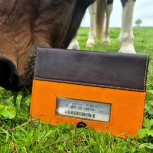 Un cheval avec son carnet qui a un protège carnet en cuir