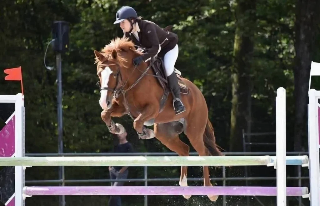 Un cheval sa cavalière qui saute un obstacle en compétition de saut