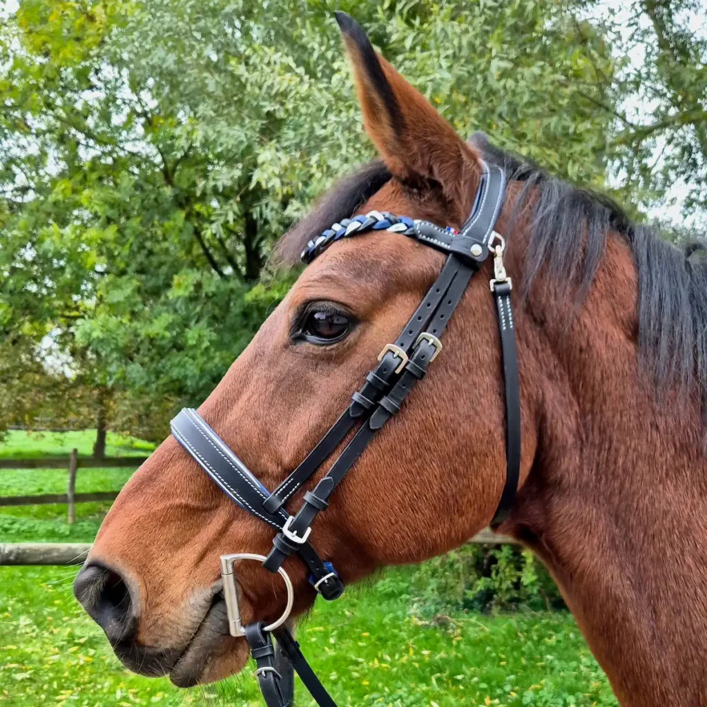 Un cheval avec un filet en cuir anatomique fabriqué en France frontal couleur