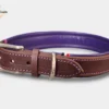 Un collier de chien en cuir violet pour chien de grande taille