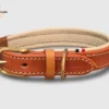 Un collier de chien haut de gamme en cuir