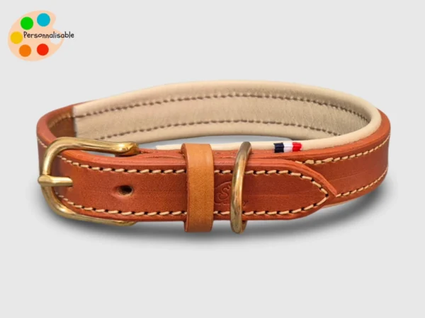 Un collier de chien haut de gamme en cuir