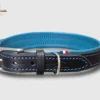 Un collier de chien en cuir souple et confortable bleu