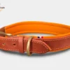 Un collier pour gros chien en cuir personnalisable