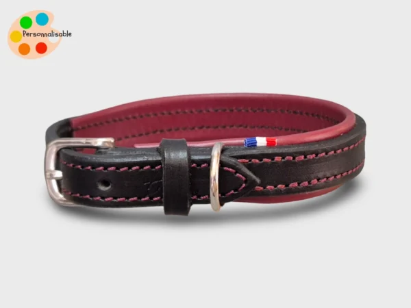 Un collier de chien personnalisable et solide