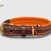 Un collier pour petit chien en cuir orange