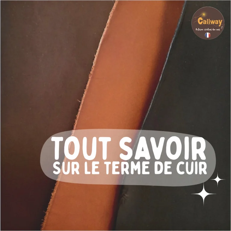 Comprendre les différents cuirs