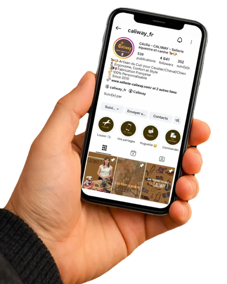 caliway sellerie artisanale française instagram