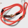 Une laisse 3 points pour chien en corde orange solide