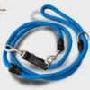 Une laisse bleu pour chien avec une grande longueur de corde