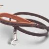 Une laisse de chien en cuir chic et haut de gamme