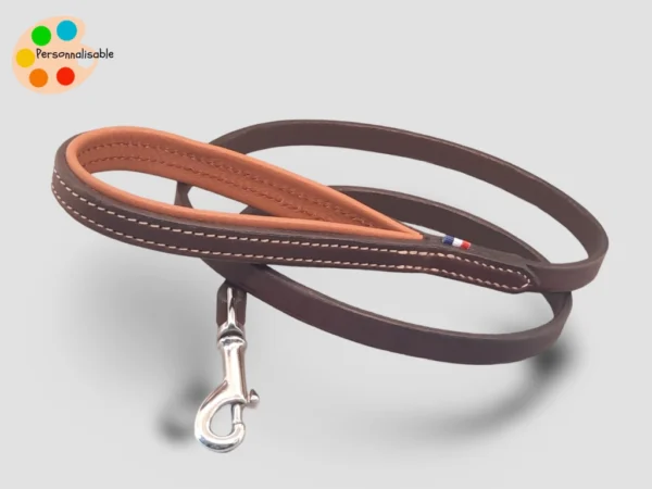 Une laisse de chien en cuir chic et haut de gamme