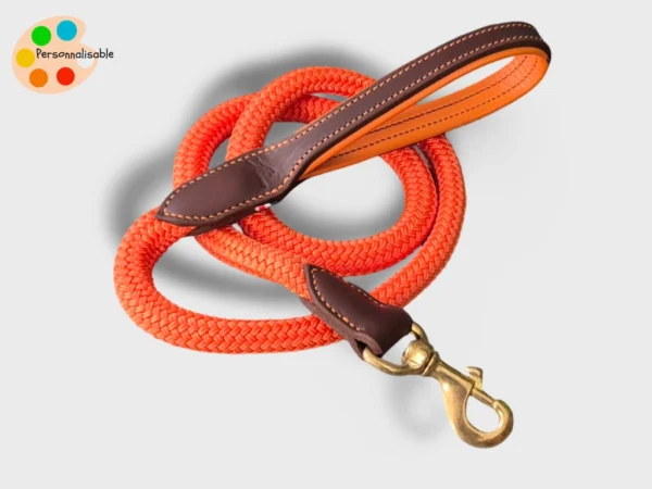 Une laisse pour chien personnalisable avec un mousqueton solide