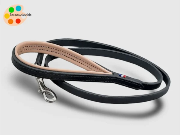 Une laisse pour chien fine et élégante disponible dans de nombreux coloris