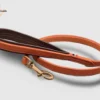 Une laisse adaptée aux petits chiens pour des promenades en ville