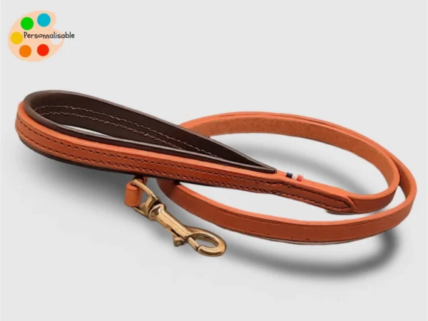 Une laisse adaptée aux petits chiens pour des promenades en ville