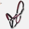 Un licol en cuir et corde bordeaux sur mesure