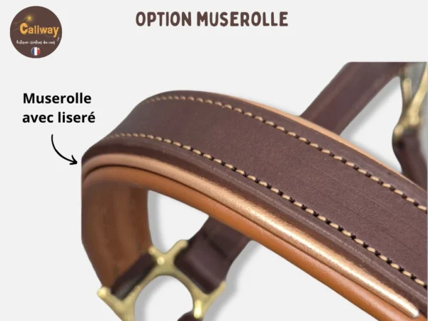 Une option de personnalisation pour un licol en cuir unique doré