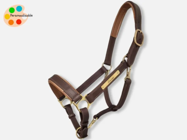 Un licol en cuir personnalisé avec une plaque avec le nom du cheval