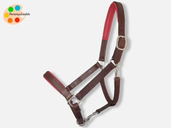 Un licol havane et rouge personnalisé et sur mesure