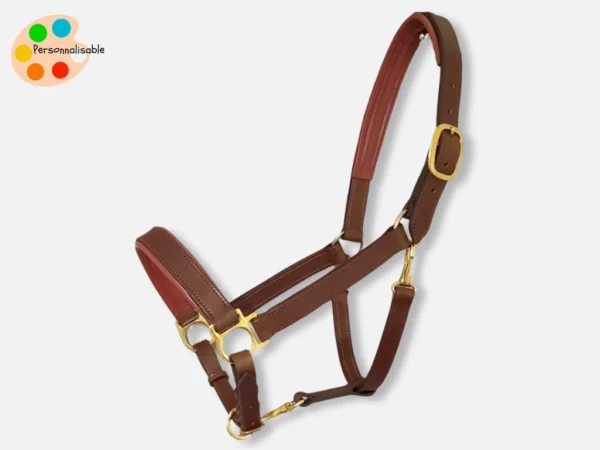 Un licol en cuir de qualité souple et résistant avec des couleur personnalisables