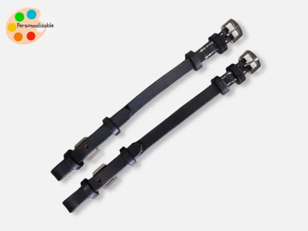 Une paire de montants de mors personnalisables pour bridon ou bride