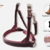 muserolle-side-pull Une muserolle de side pull en cuir en pièce détachée sur mesure