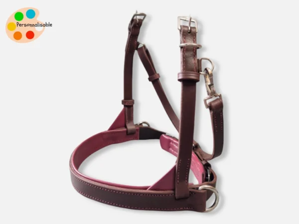 muserolle-side-pull-anatomique Une muserolle en cuir ergonomique pour side pull sur mesure et personnalisable