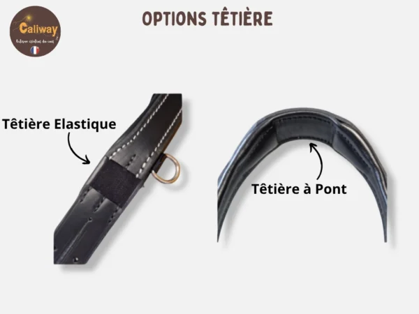 Une têtière de side pull personnalisable à pont ou à élastique
