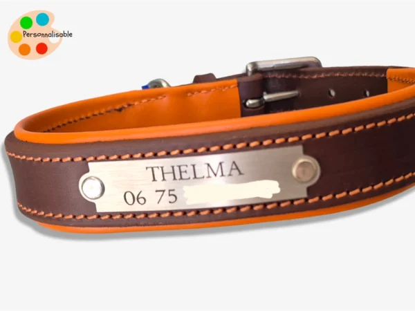 Une plaque gravée personnalisée pour collier de chien