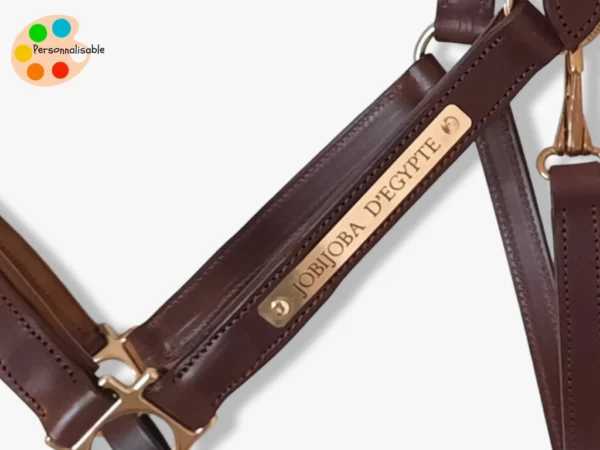 Une plaque gravée avec le nom du cheval sur un licol