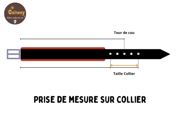 prise-mesure-collier-chien Explication pour prendre la mesure pour fabriquer un collier de chien sur mesure