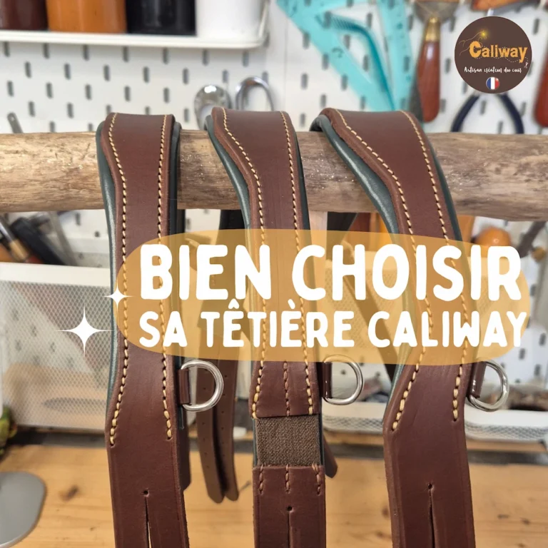 Différentes formes et modèles de têtières sur mesure pour cheval et poney