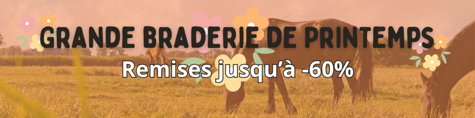 Des articles en cuir pour chiens, chevaux et cavaliers à prix réduits