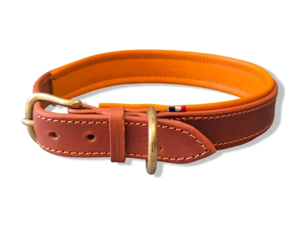 collier-gros-chien-cuir-orange Un collier de chien en cuir orange