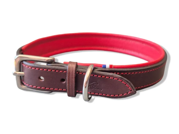 Un collier de chien grande taille rouge
