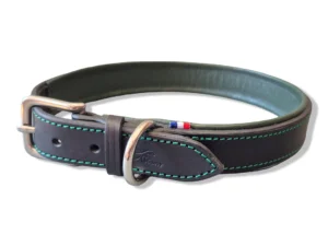 collier-gros-chien-cuir-vert-sapin Un collier de chien grand modèle vert sapin
