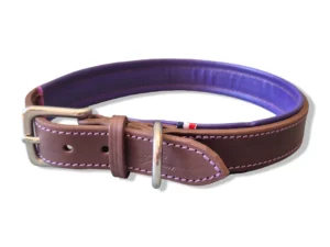 collier-gros-chien-cuir-violet Un collier de chien grand modèle violet