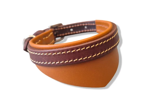 Un collier de chien bandana pour petit chien