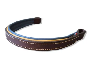 frontal-cheval-cuir-bleu Un frontal pour bridon en cuir pour cheval