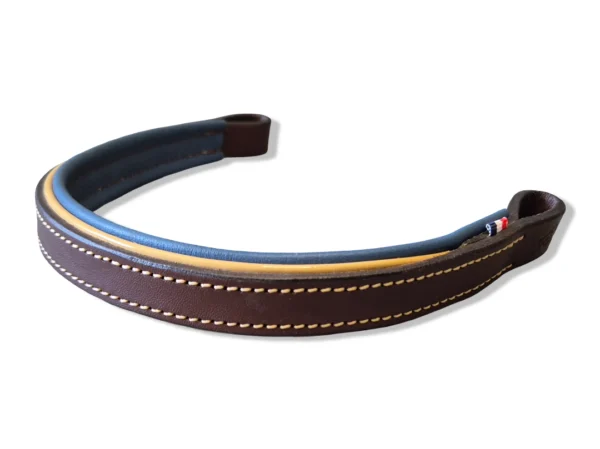 frontal-cheval-cuir-bleu Un frontal pour bridon en cuir pour cheval