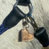Un cheval qui porte un charm personnalisable sur son licol