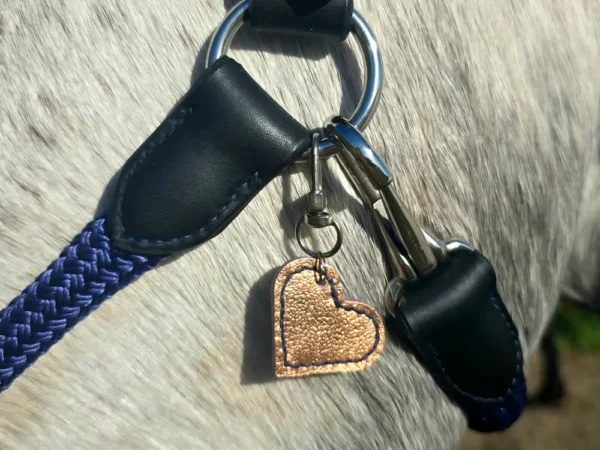 Un cheval qui porte un charm personnalisable sur son licol