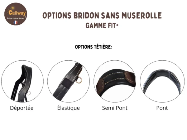 tetiere-a-pont-elastique Les différentes têtières pour le bridon sans muserolle