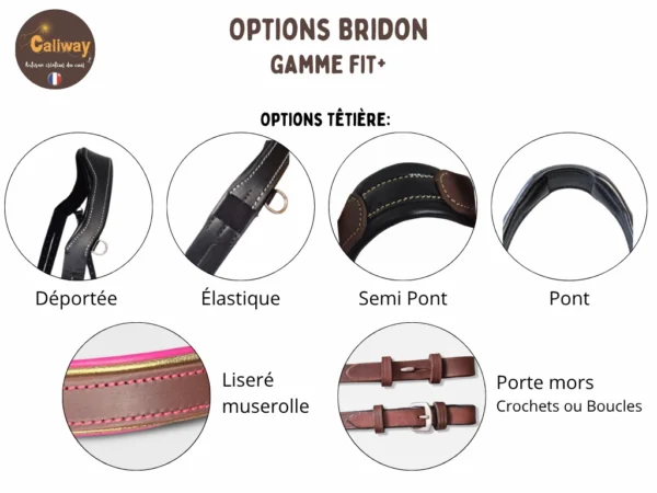 Les options de bridon pour cheval pour le bitfitting